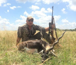 Blackbuck Buck