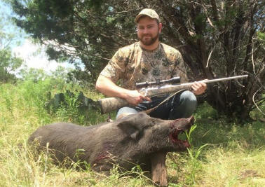 Wild Hog