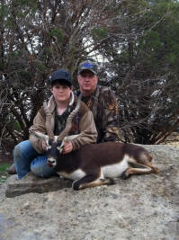 Blackbuck Antelope Buck