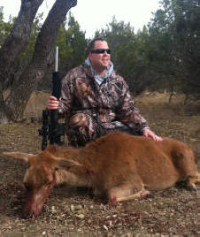 Red Deer Hind