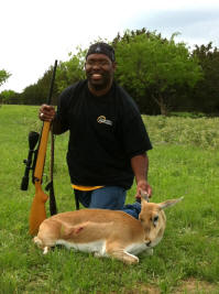 Blackbuck Antelope Doe