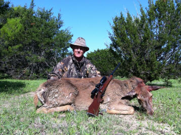 Red Deer