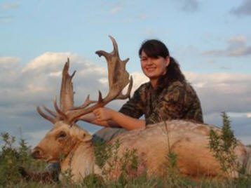Fallow Deer