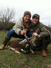 Blackbuck Antelope