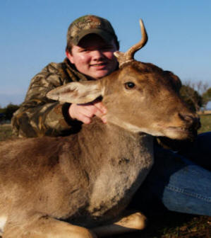 Fallow Deer