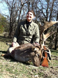 Fallow Deer