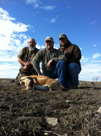 Blackbuck Doe Antelope