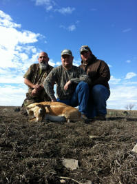 Blackbuck Doe Antelope