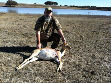 Blackbuck